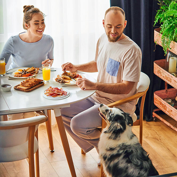 Couple having breakfast at home while dog begs for food.