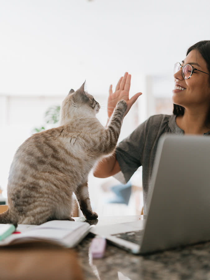 Young  woman doing a High five with her cat while working from home.