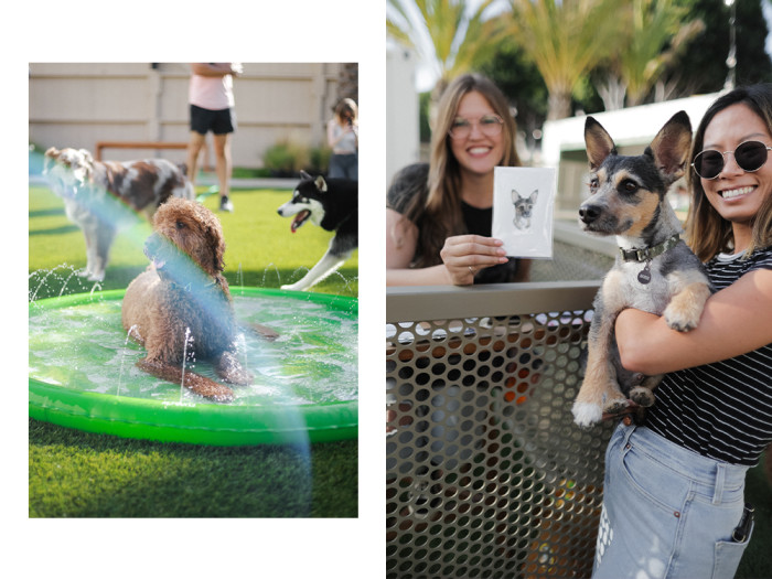 a dog splashes in a shallow pool, two members pose with a dog 