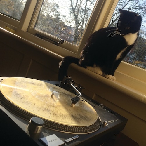 picture of a black cat sat on a windowsill looking down at a record player