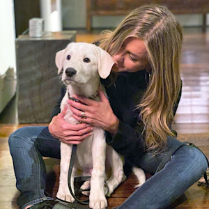 Jennifer Aniston Starts Fund to Help Animal Rescues, Hopes to Inspire People to 'Throw in a Dollar'.