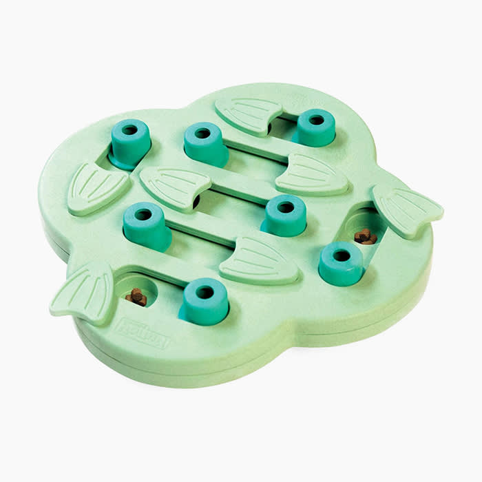 blue green interactive toy