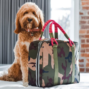 an orange dog beside a camo carrier