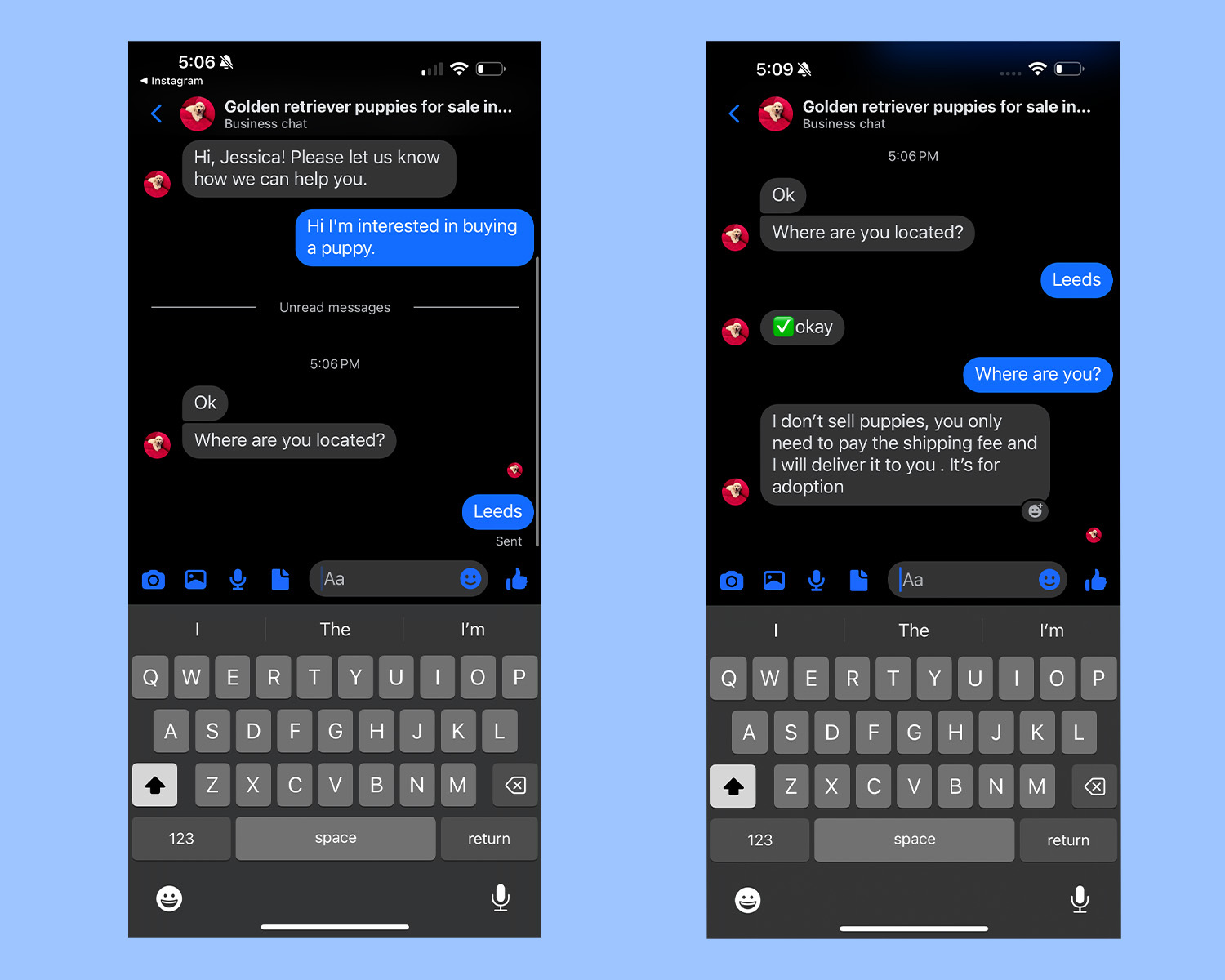 screenshot of imessages with puppy scammer
