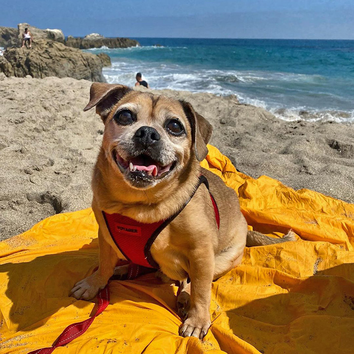  Leo Carrillo State Beach