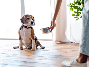 a woman feeding her dog food in a bowl