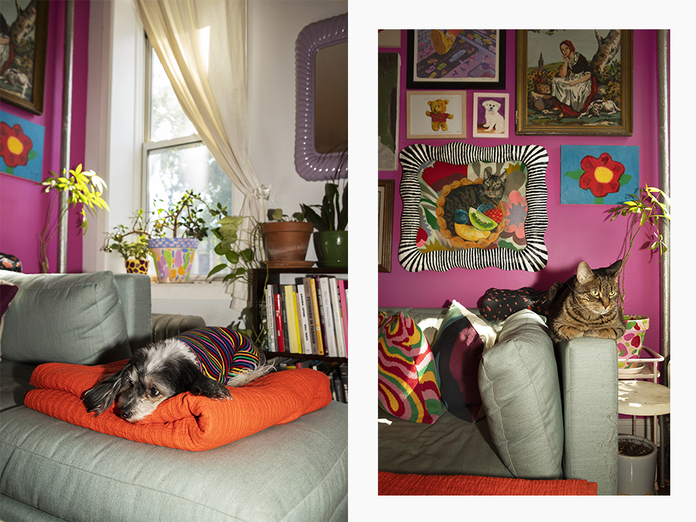 Zoe Schlacter's dog and cat