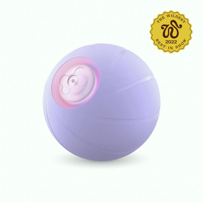 purple interactive ball toy