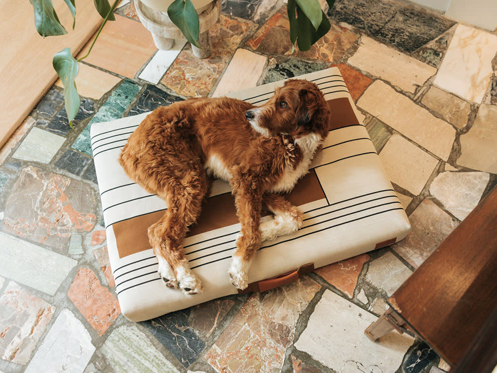 a dog on a Lay Lo pet bed