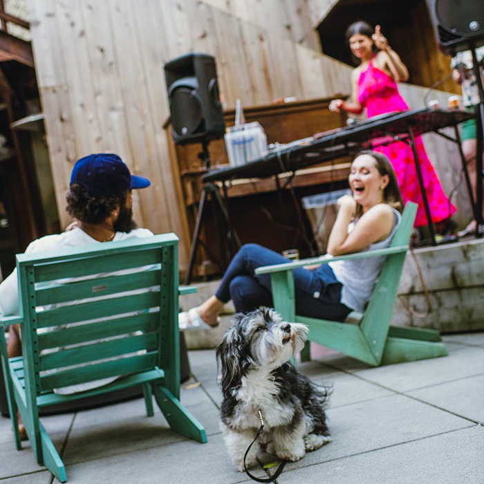a dog outside at Chophouse Row