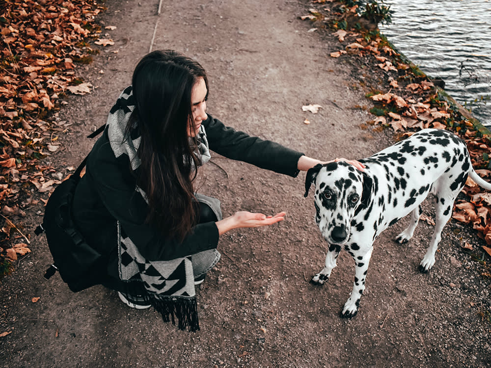 A woman in a black coat squatting down to speak to her Dalmatian dog who is looking away from her to the camera on a dirt path next to a pond on with fall leaves around
