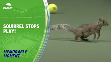 Squirrel Stops Play! | 2023 US Open