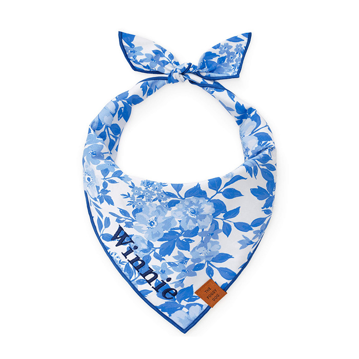 The Foggy Dog blue bandana