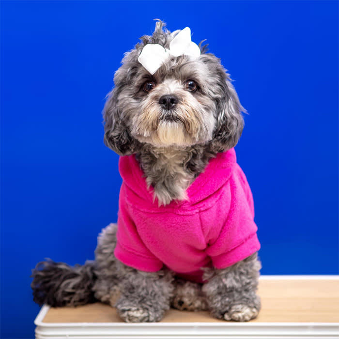 Dog & Co fuschia hoodie