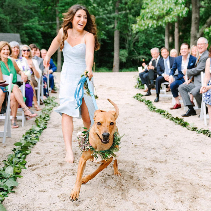 person with their dog walking down the aisle