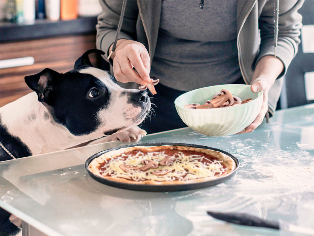 Women in the kitchen baking mushroom pizza with her dog.