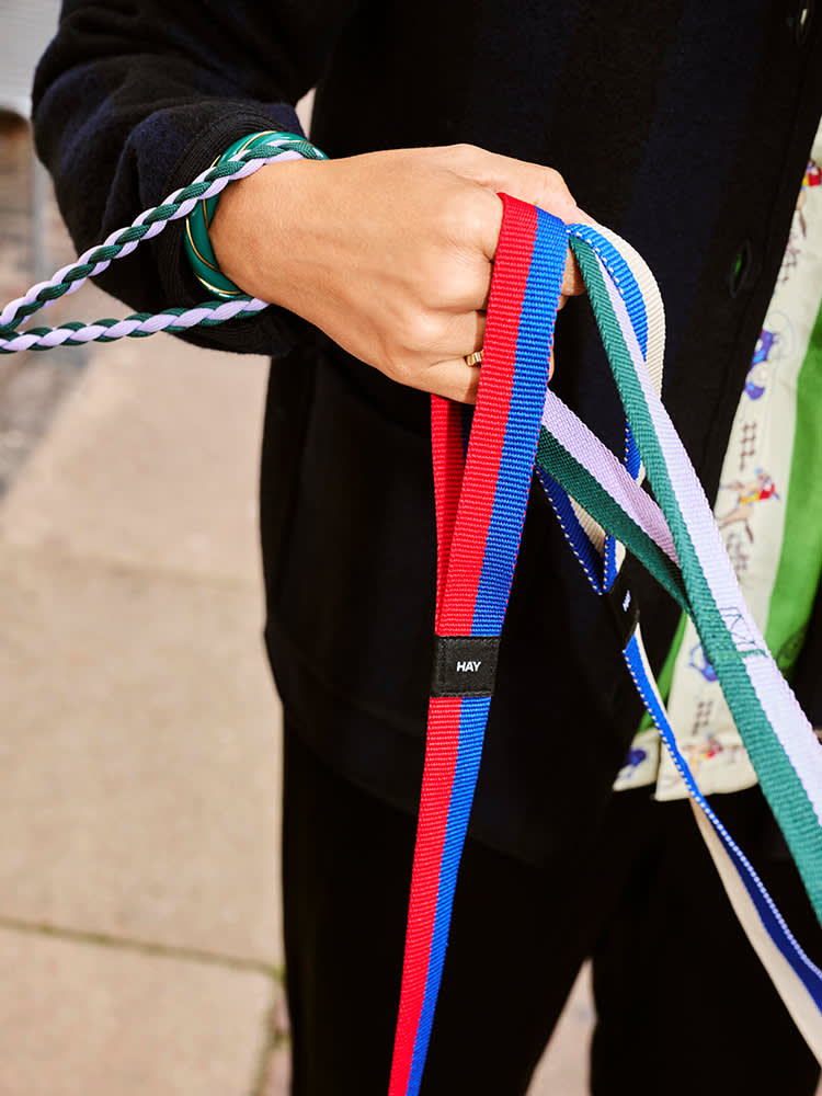 Person holding several dog leads from HAY in different colours 
