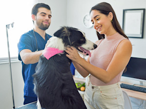 Smiling woman happy at the animal clinic with the veterinarian.