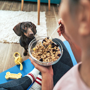 Woman eating granola with raisins while dog watches.