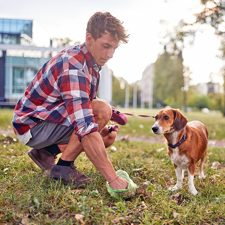 Man picking up his dog's poop outside in the grass.
