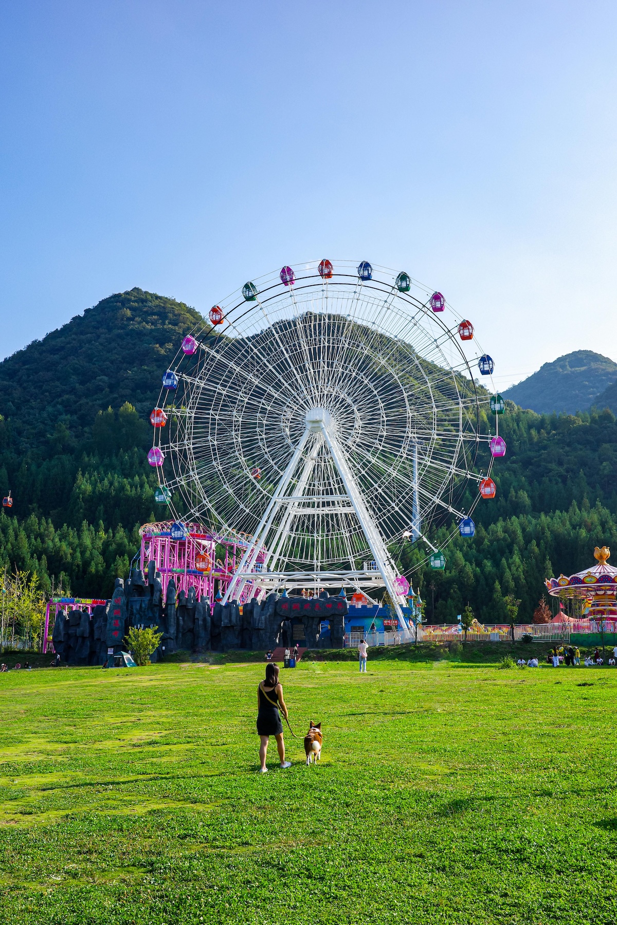 a woman and a dog underneath a big ferris wheel