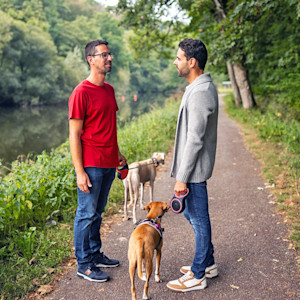 two men and two dogs stop to talk by a canal