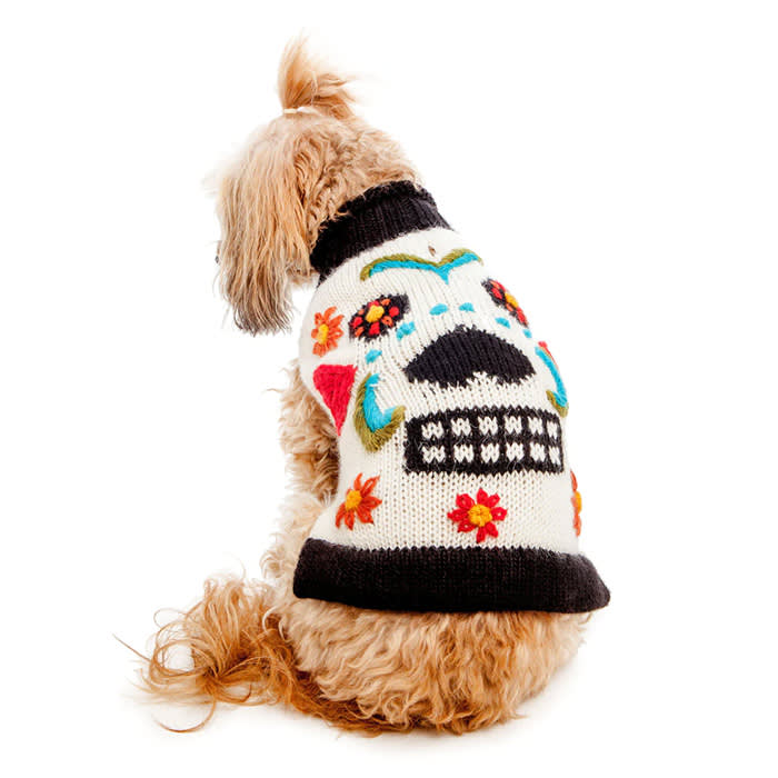 a dog in a Peruvian Knits Day of the Dead Handknit Dog Sweater
