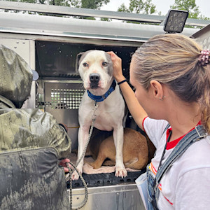 Over 50 pets have been transported to APA from the Kerr and Williamson counties.