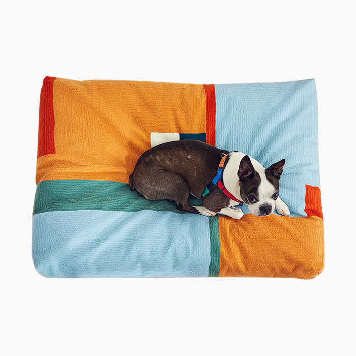 the dog bed in bright colors