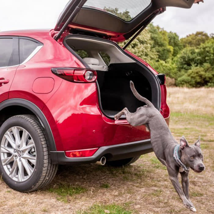 a dog jumping out of a Mazda