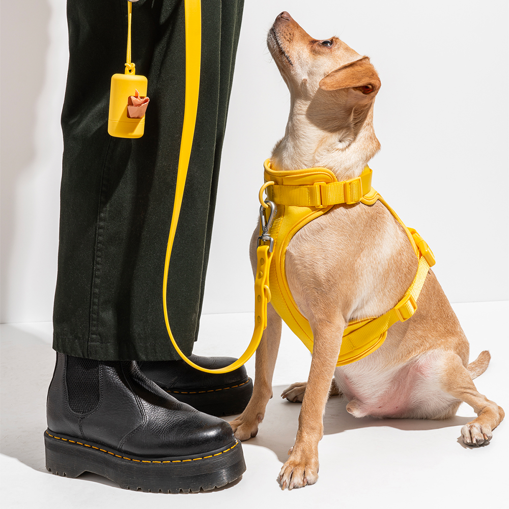 wild one butter walk kit