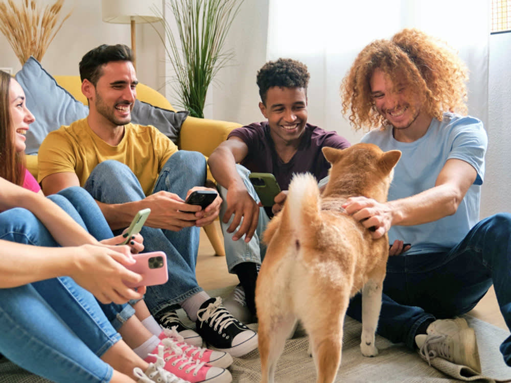 a group of friends pets a shiba inu dog