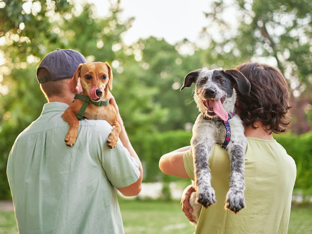 two people hold dogs over their shoulders