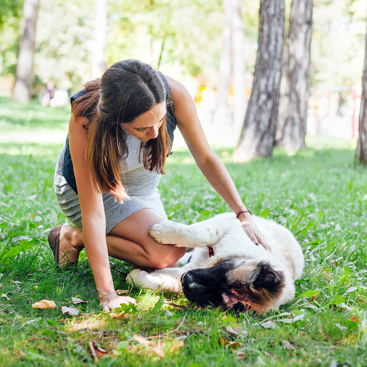 Woman petting her dog outside.