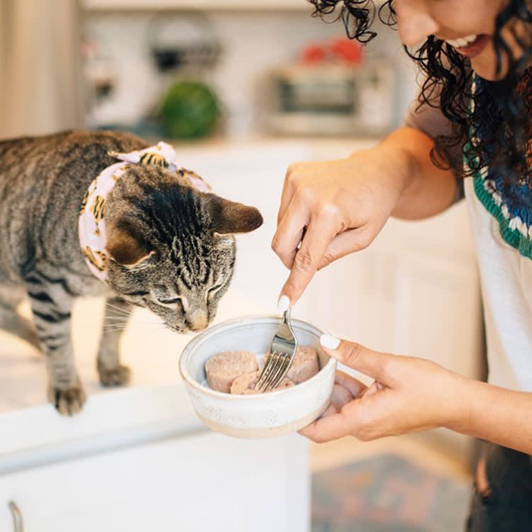 Woman feeding her cat freeze dried raw food.