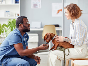 a vet in scrubs crouches down in front of a woman with a daschund on their lap