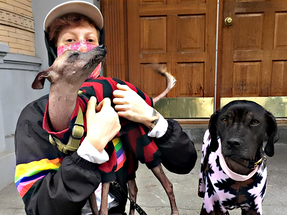 spike einbinders hairless dog