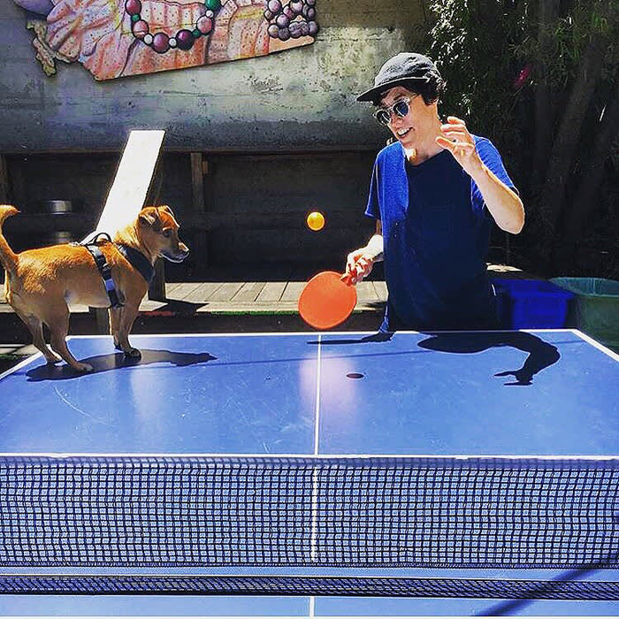 small dog on a pingpong table at El Rio 