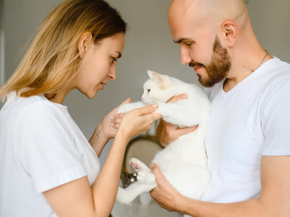 Couple holding a white cat in their arms