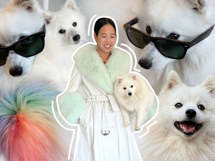 Angela Pham with dog collage 