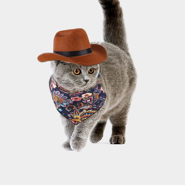 cat wearing cowboy hat