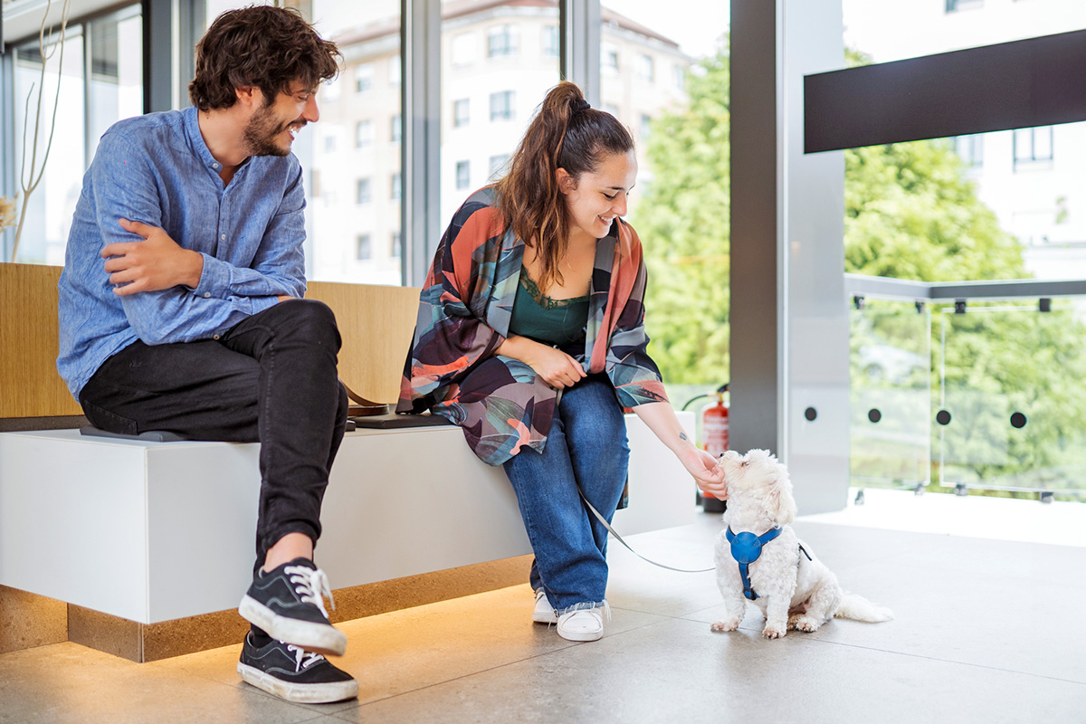 People petting a dog