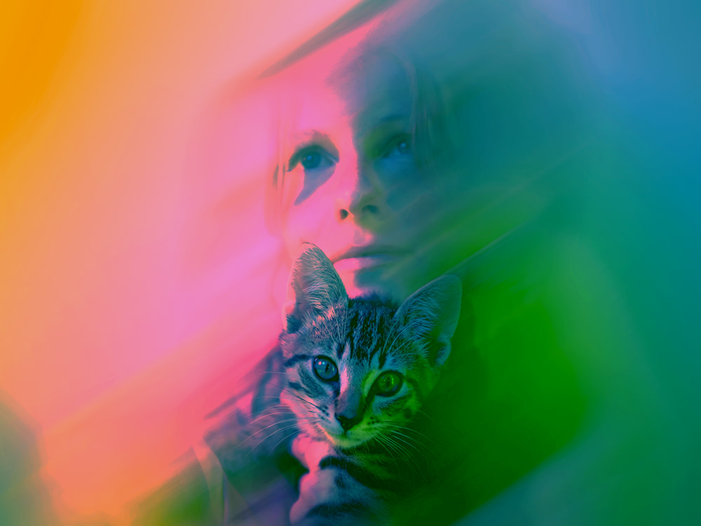 An artistic pink and green digitally altered portrait of Kaitlyn Aurelia Smith holding her cat 