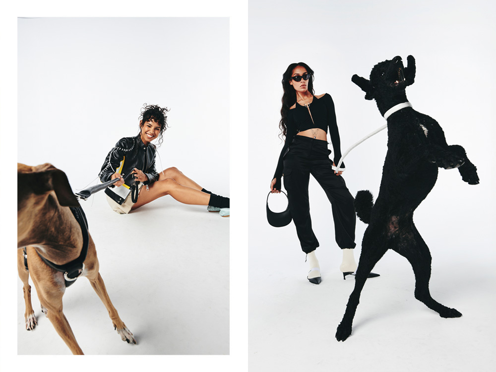 a person with a dog in a black harness, a person with a dog with a white collar