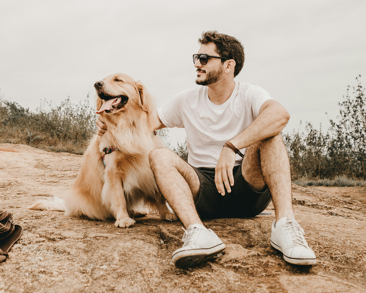 man and golden retriever sitting on a rock outdoors