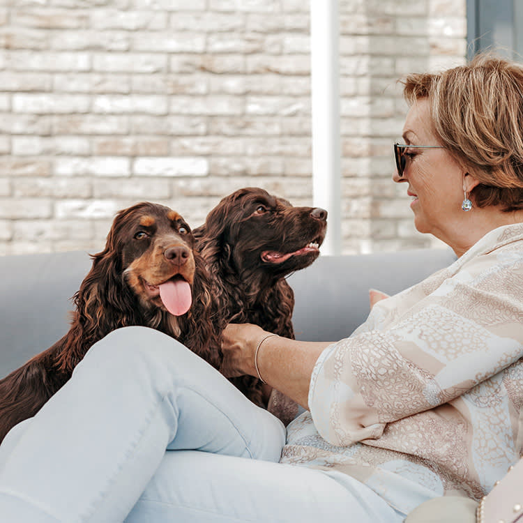 Two cocker spaniel dogs sitting on the garden sofa with a senior woman.