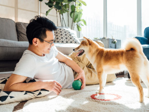 Man laying on floor playing with dog