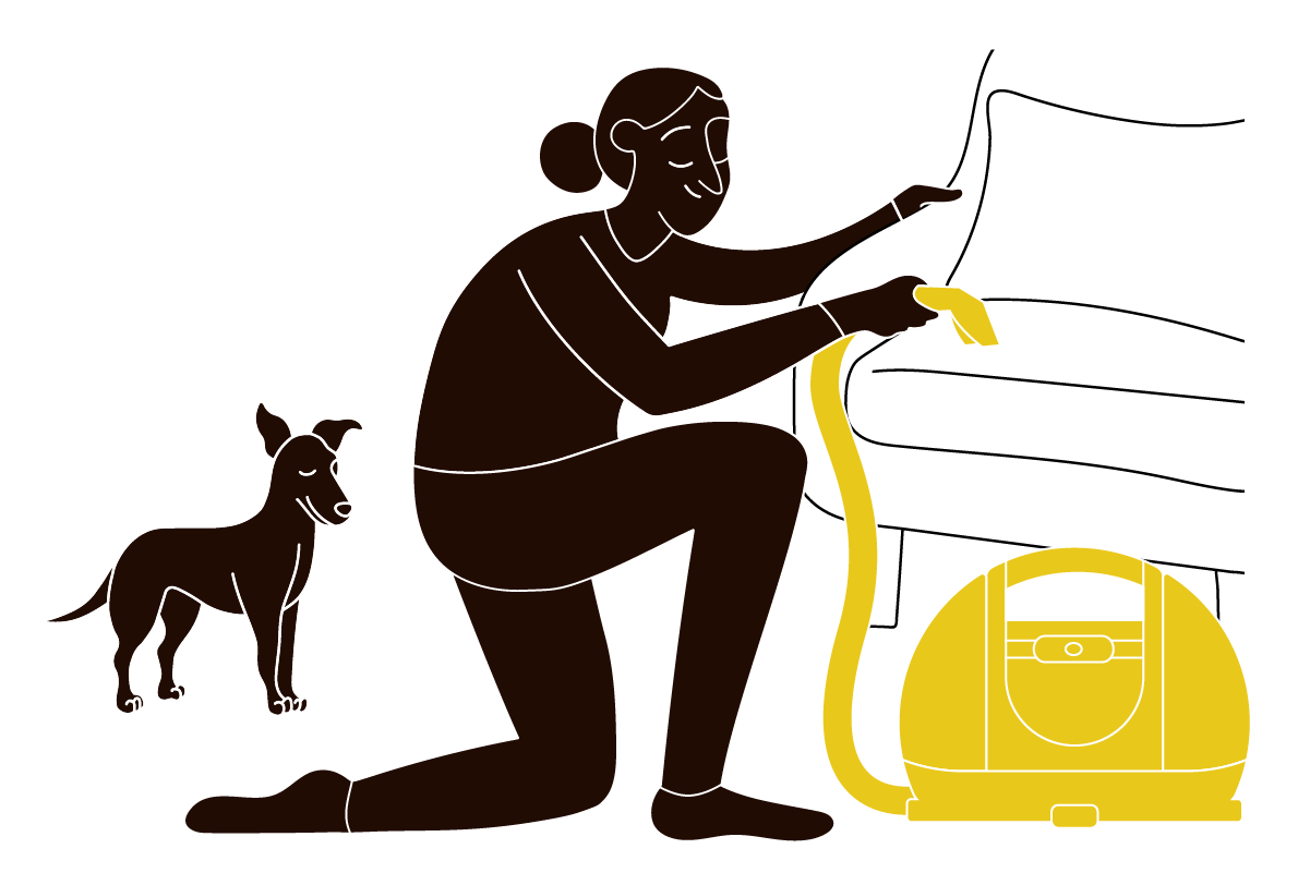 pet parent steam cleaning couch