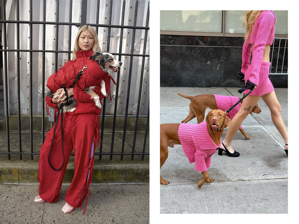 a dog and human in a matching red puffer; two dogs and a human in matching pink sweaters