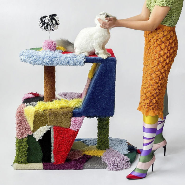 a woman holding a cat's head on a cat tree